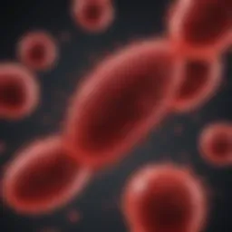 Illustration of Red Cell Distribution Width concept