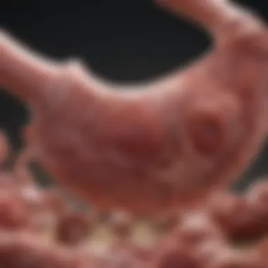 Notable Understanding Stage 3 Uterine Cancer: Survival Rates and Factors Influencing Outcomes