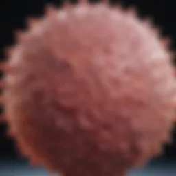 Overview of stage IV large B cell lymphoma pathology