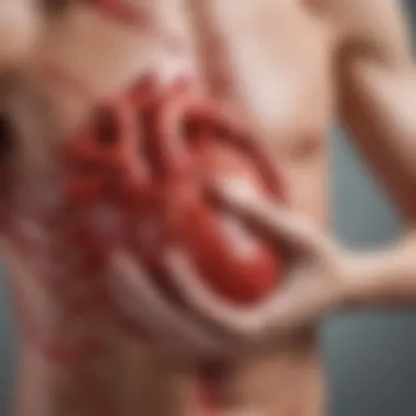Rheumatoid Arthritis and Heart Health Connection Illustration depicting the connection between rheumatoid arthritis and cardiovascular health.