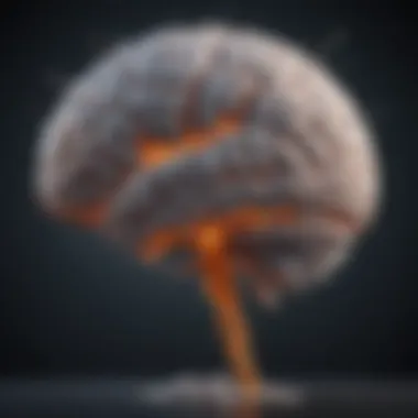 Impact of Alcohol on Brain Function A conceptual representation of the brain's pathways affected by alcohol.