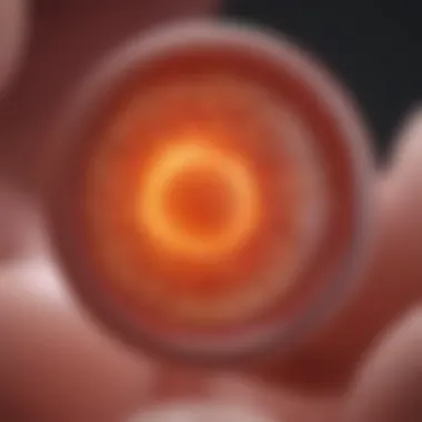 Hormonal Changes in Ovulation Diagram illustrating hormonal changes during ovulation