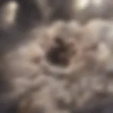 Visual representation of Trichomonas vaginalis under a microscope