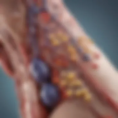Interplay of Immunology and Rheumatology in Arthritis Graphical illustration of the interplay between immunology and rheumatology in the context of arthritis.