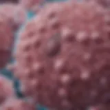 Microscopic view of triple negative invasive ductal carcinoma cells