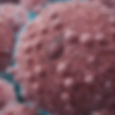 Microscopic Analysis of TNIDC Microscopic view of triple negative invasive ductal carcinoma cells